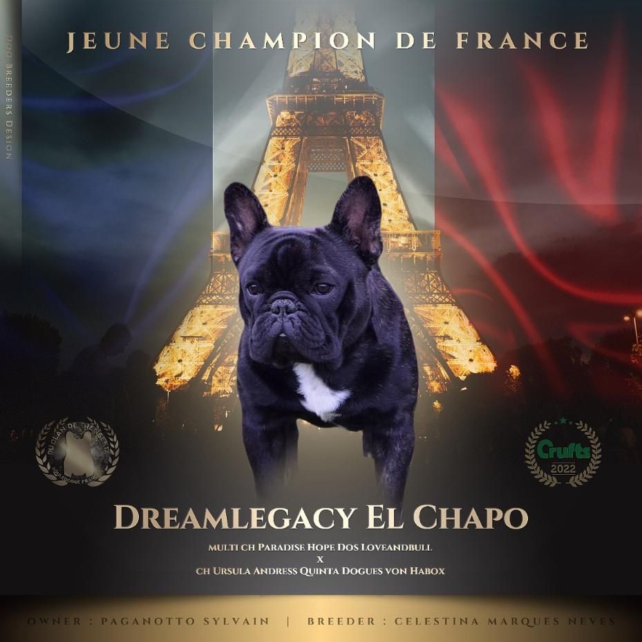 CH. dreamlegacy El chapo